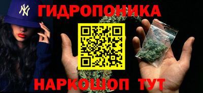 крисы Краснокаменск