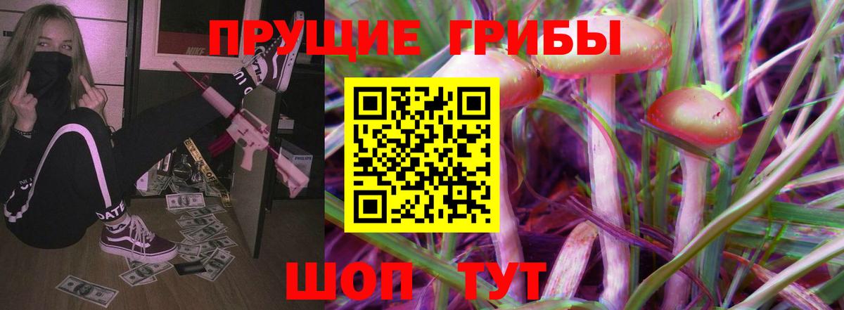 Псилоцибиновые грибы Psilocybine cubensis Кириши